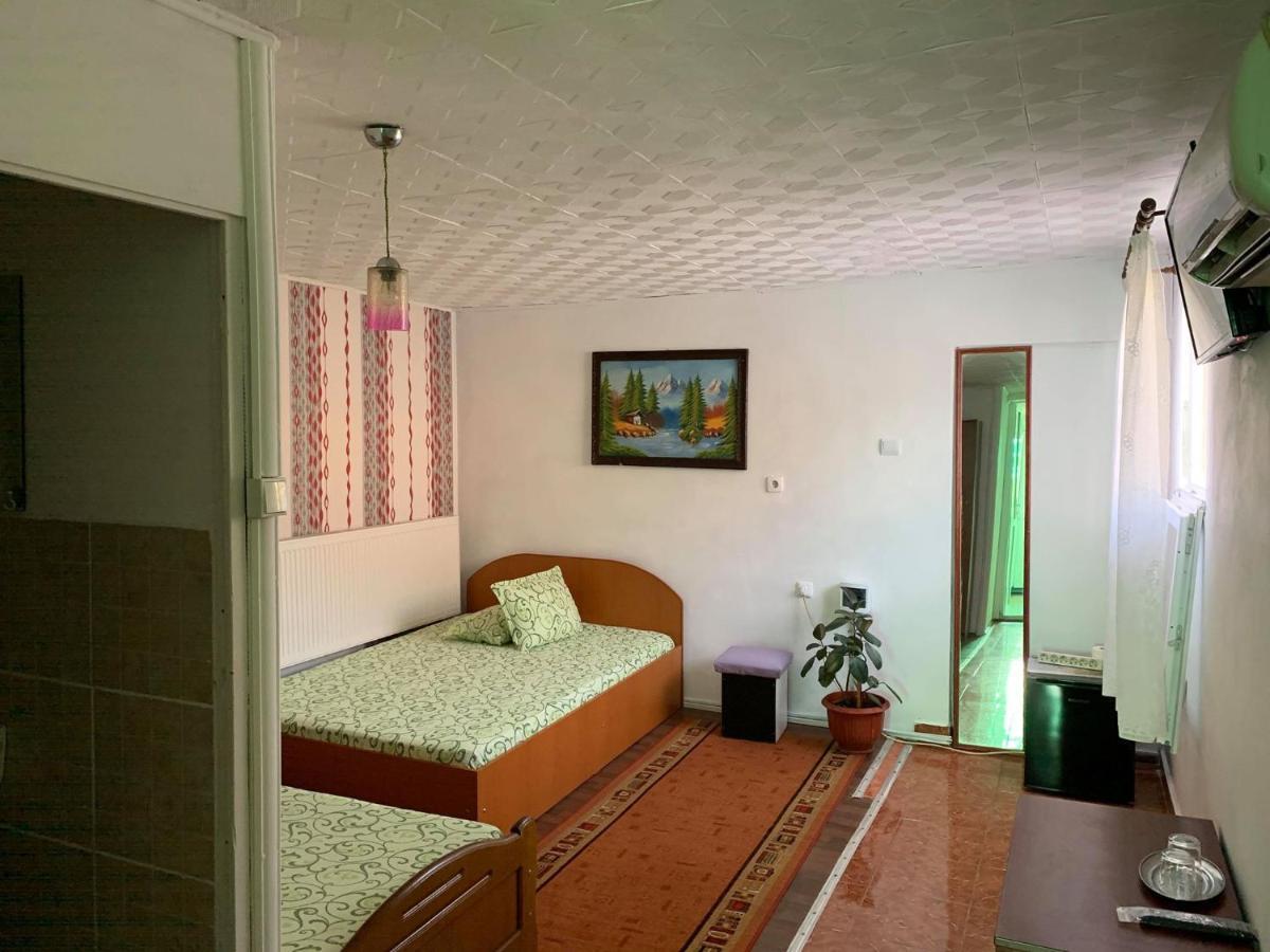 Hotel Casa Pitaru Calafat Exteriér fotografie